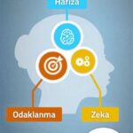 Online Zeka Oyunları ve Beyin Egzersizlerinin Önemi